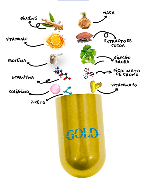 Quemador MW Gold